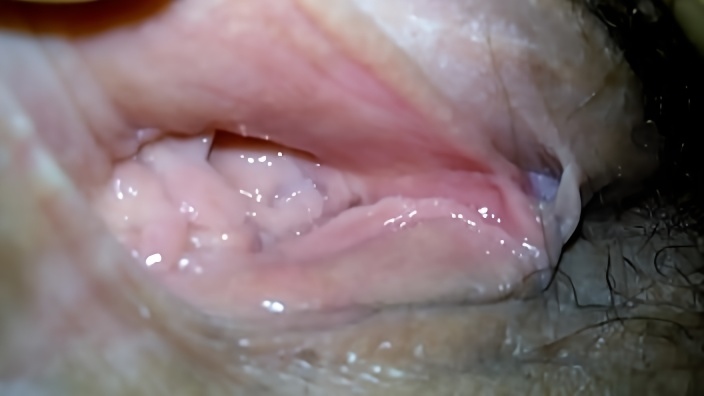 Wife Pussy - My wife's pussy d.