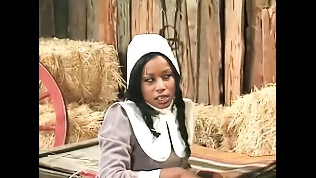 Amish farmer analyses a black maid